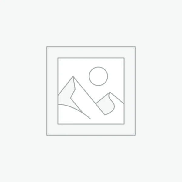 Reloj Smartwatch Haylou Iron Neo